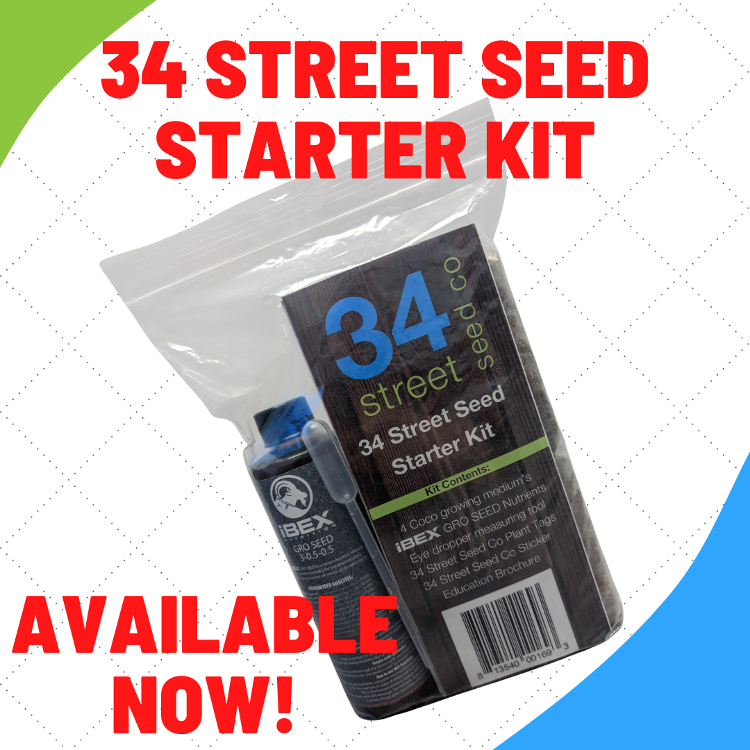 Seed Starter Kit | 34 Street Seed Co